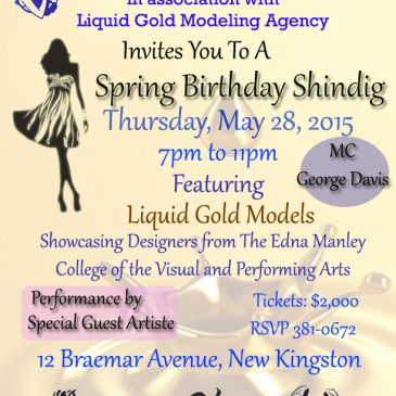 Birthday Celebration Shindig Fashion Show May 28th, 2015