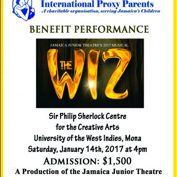 The WIZ Benefit Performance